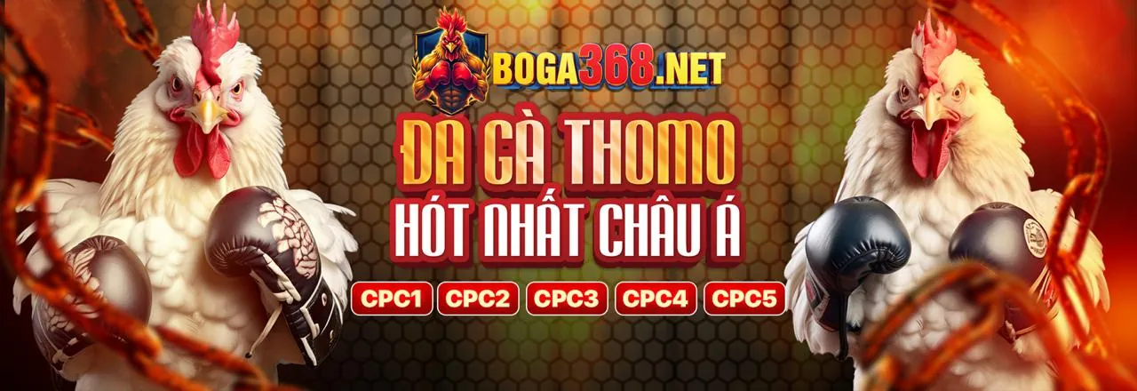 Đăng ký Manclub APK 2026