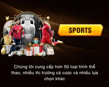 Bộ sưu tập dụng cụ thể thao đa dạng, minh họa các môn thể thao khác tại manclub apk.